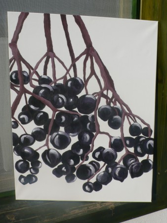 Bodzabogyók - természetes fényben fotózva (akril) 